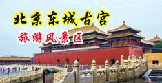 色欲AV操操操操中国北京-东城古宫旅游风景区